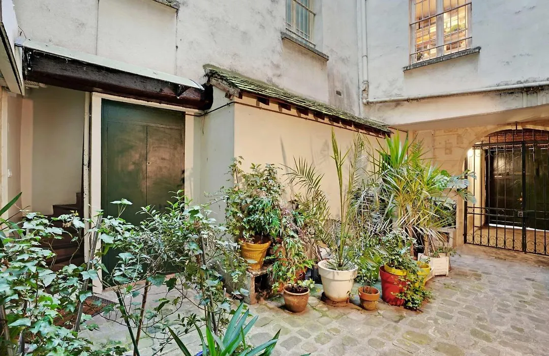Magnificent Studio - 2P - Les Halles-1